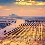 Avatar de Manuel Saavedra